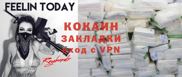 шишки Елабуга