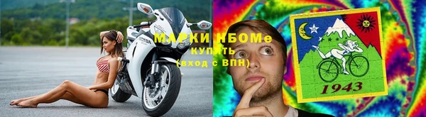 шишки Елабуга