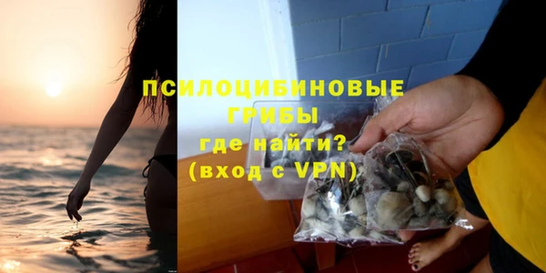 шишки Елабуга