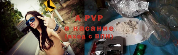 шишки Елабуга