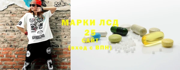 шишки Елабуга