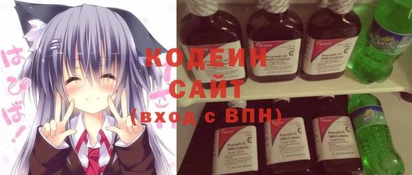 шишки Елабуга
