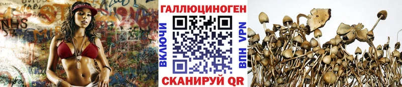 Псилоцибиновые грибы прущие грибы Вилючинск
